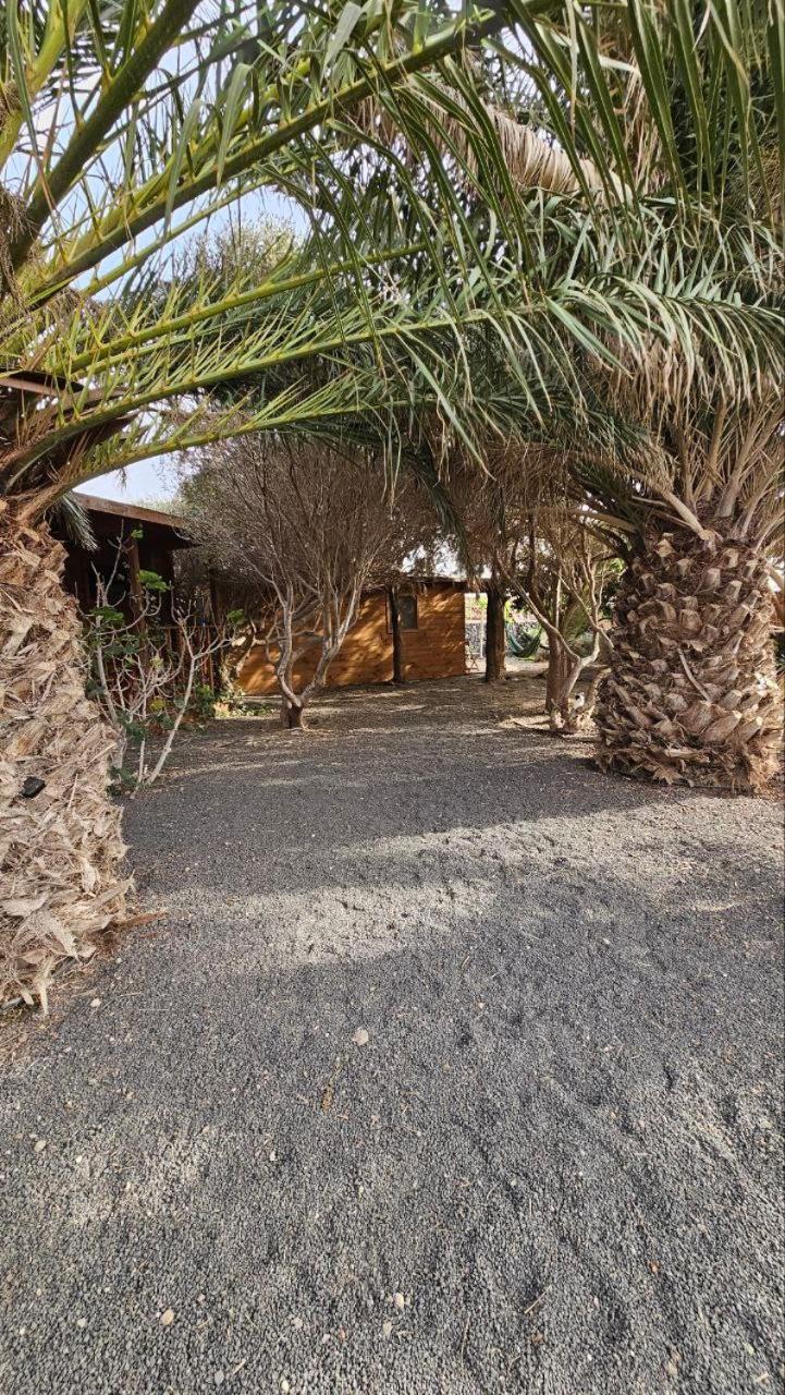 Cabanalanz, En Lanzarote Càmping San Bartolomé