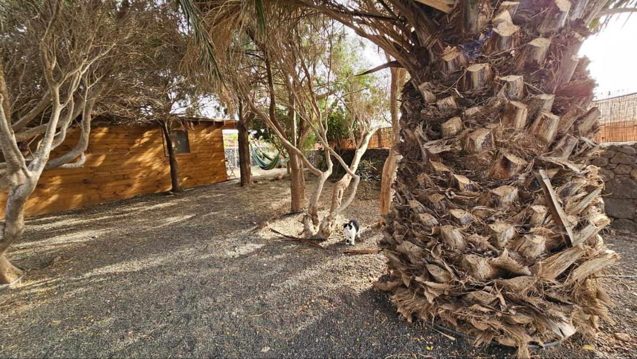 Cabanalanz, En Lanzarote San Bartolomé